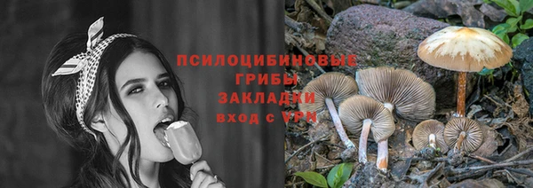 хмурый Вязьма