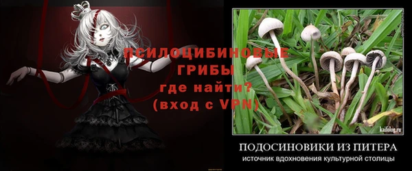 соль курить ск Вяземский